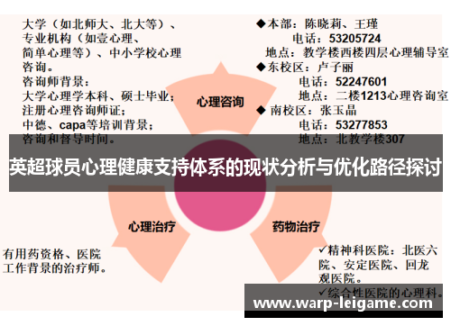 英超球员心理健康支持体系的现状分析与优化路径探讨