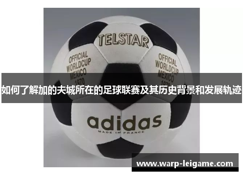 如何了解加的夫城所在的足球联赛及其历史背景和发展轨迹 如何了解加的夫城所在的足球联赛及其历史背景和发展轨迹