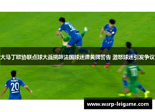 大马丁欧协联点球大战挑衅法国球迷遭黄牌警告 激怒球迷引发争议